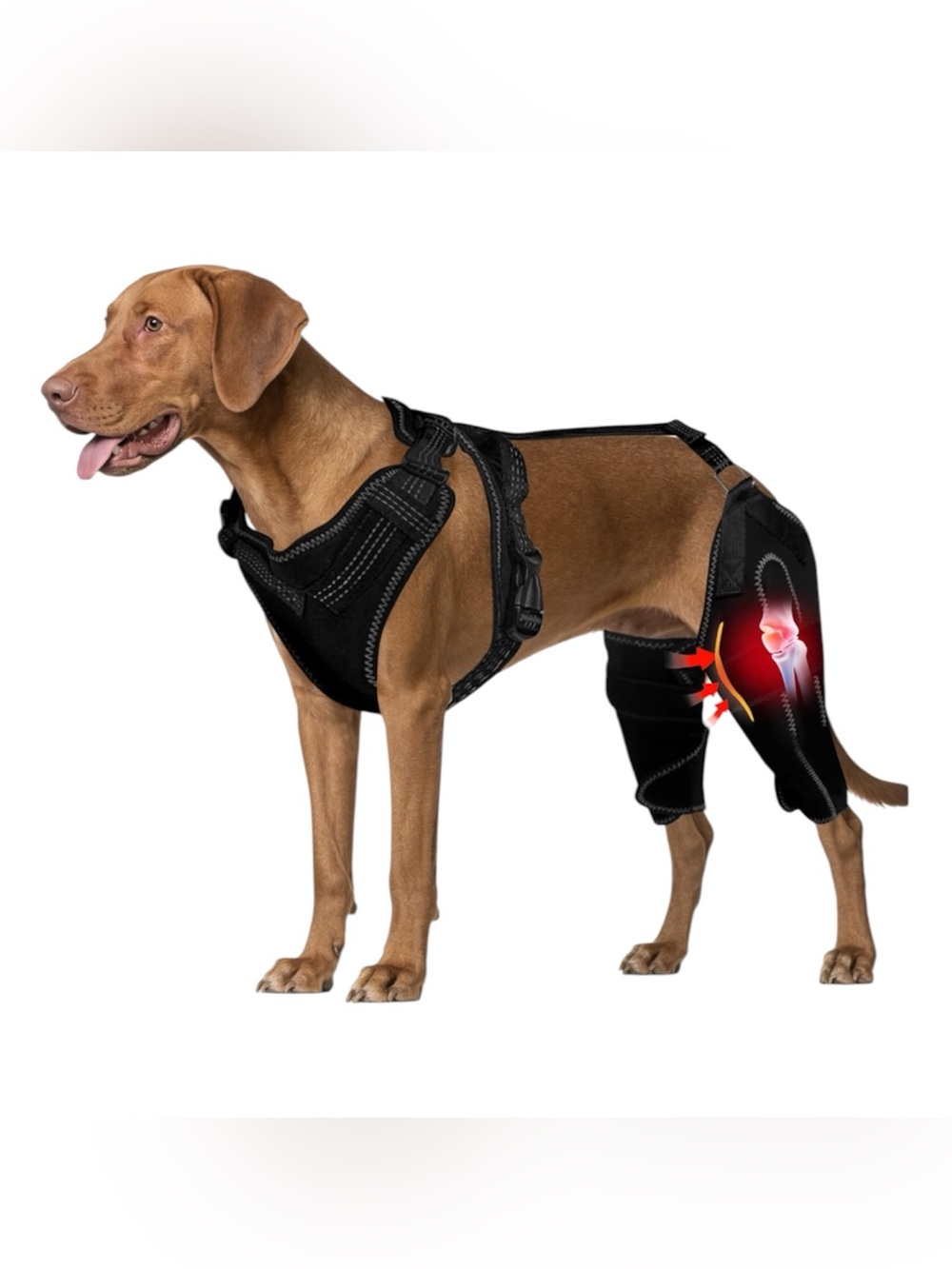 Arvion Dog Knee Braces for Back Legs
- Black Hip & Joint Compression Wrap